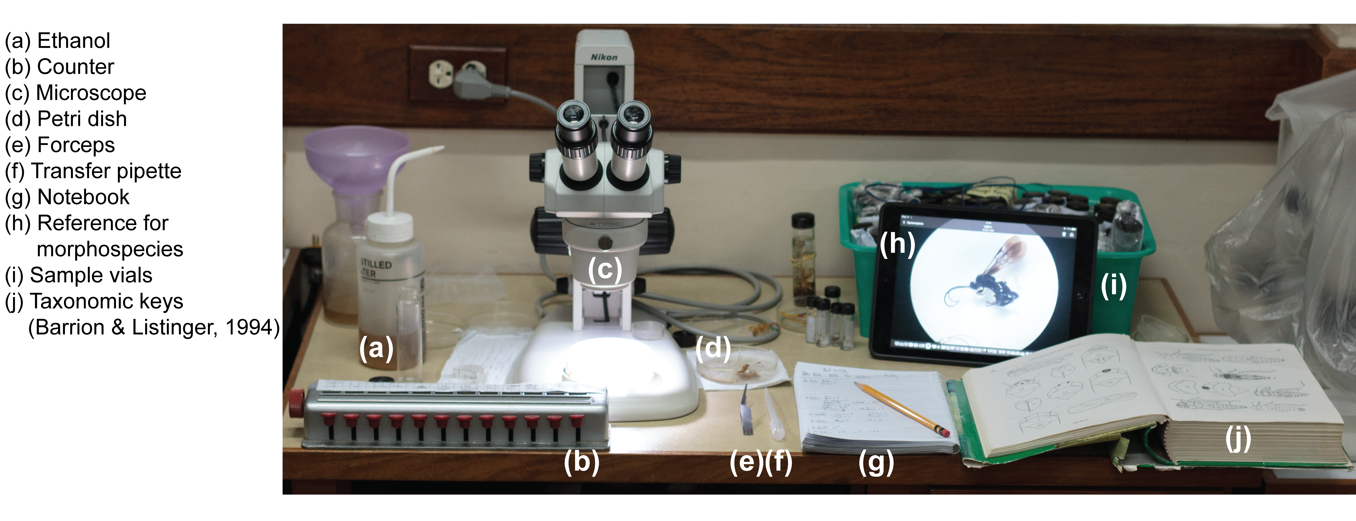 Equipment used for the identification of rice arthropods.