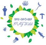 SFE - GFÖ - EEF 2022